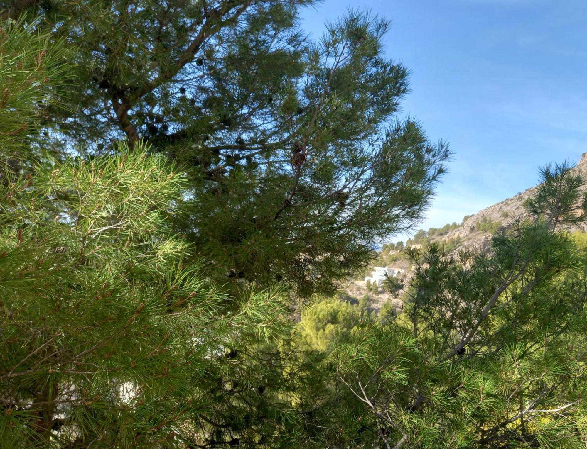 Townhouse Altea Hills Villa Dış mekan fotoğraf